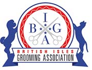 biga logo