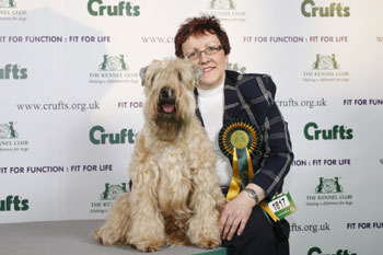 Crufts winner