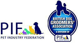 Logo1 PIF Logo