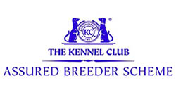 The Kennel Club Logo